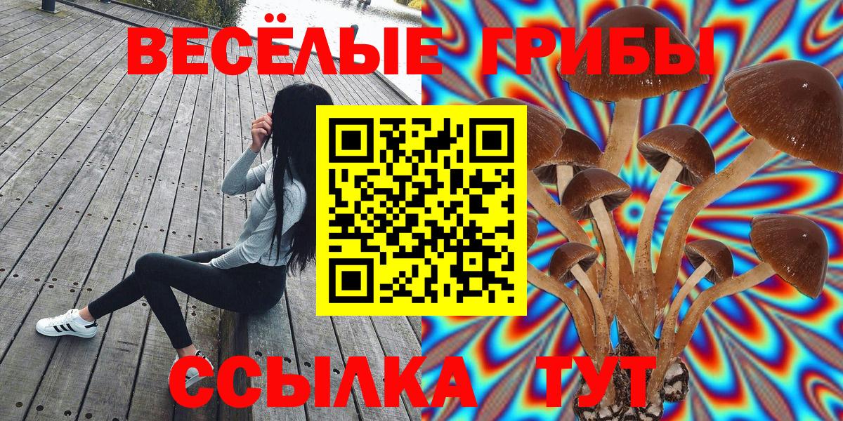 Галлюциногенные грибы MAGIC MUSHROOMS Осинники