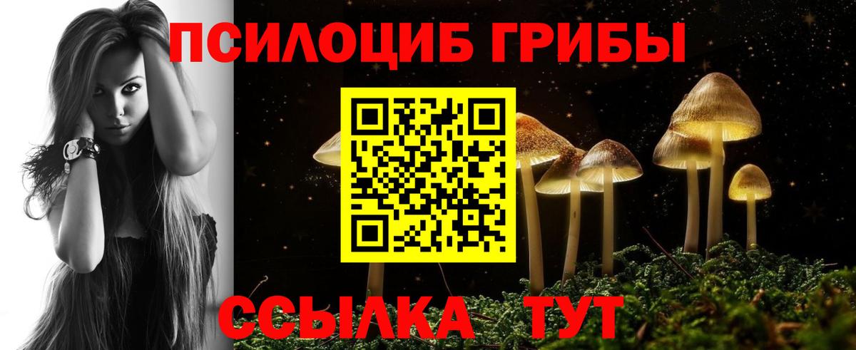 Осинники  Псилоцибиновые грибы Magic Shrooms  закладка  Вход с VPN 