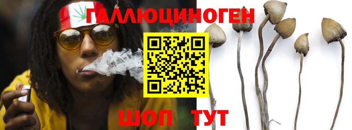 Осинники  Каннабис  Вход с VPN  Где найти наркотики?  Мефедрон кристаллы  Гашиш 