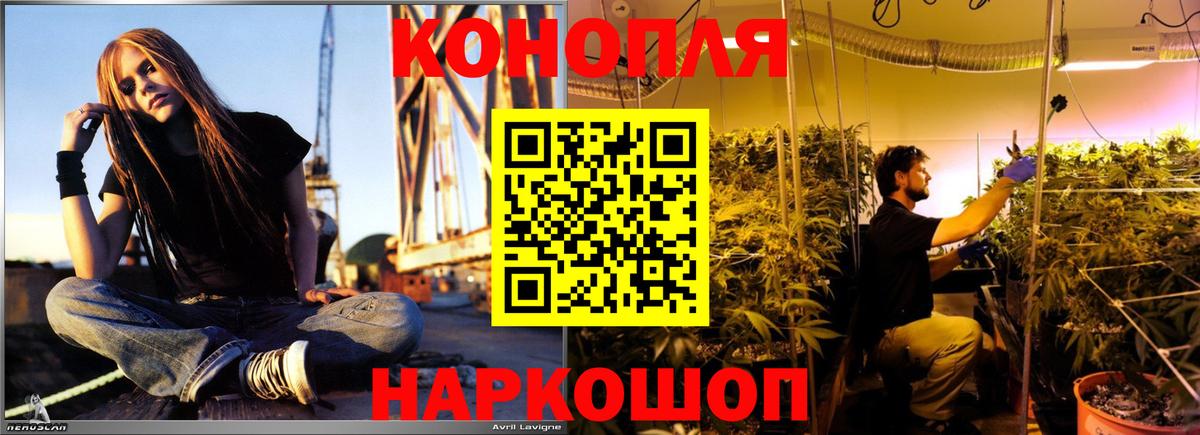 Бошки марихуана THC 21% Осинники